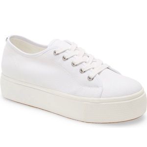 Steve Madden Elore Platform Sneaker